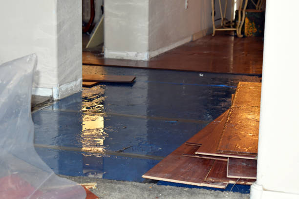 Professional Water Damage Restoration technician working in Gresham, WI