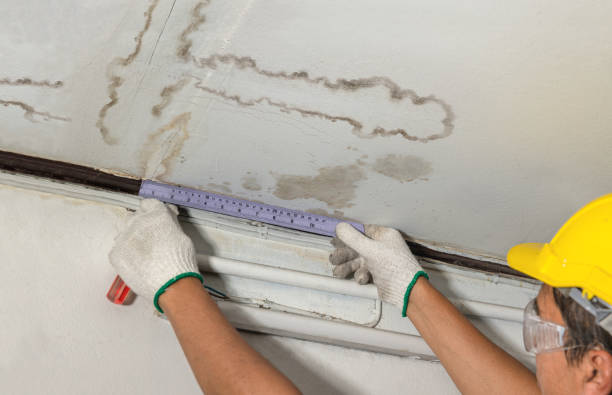 Reliable Water Damage Restoration contractor in Gresham, WI by Water Damage Irwin